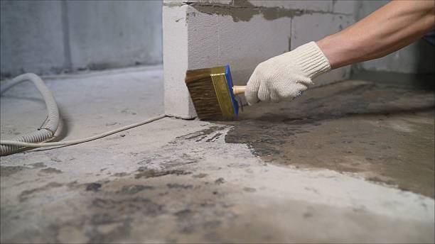 SJ Waterproofing Pros Basement Waterproofing coverage map for Bellwood, IL and surrounding area